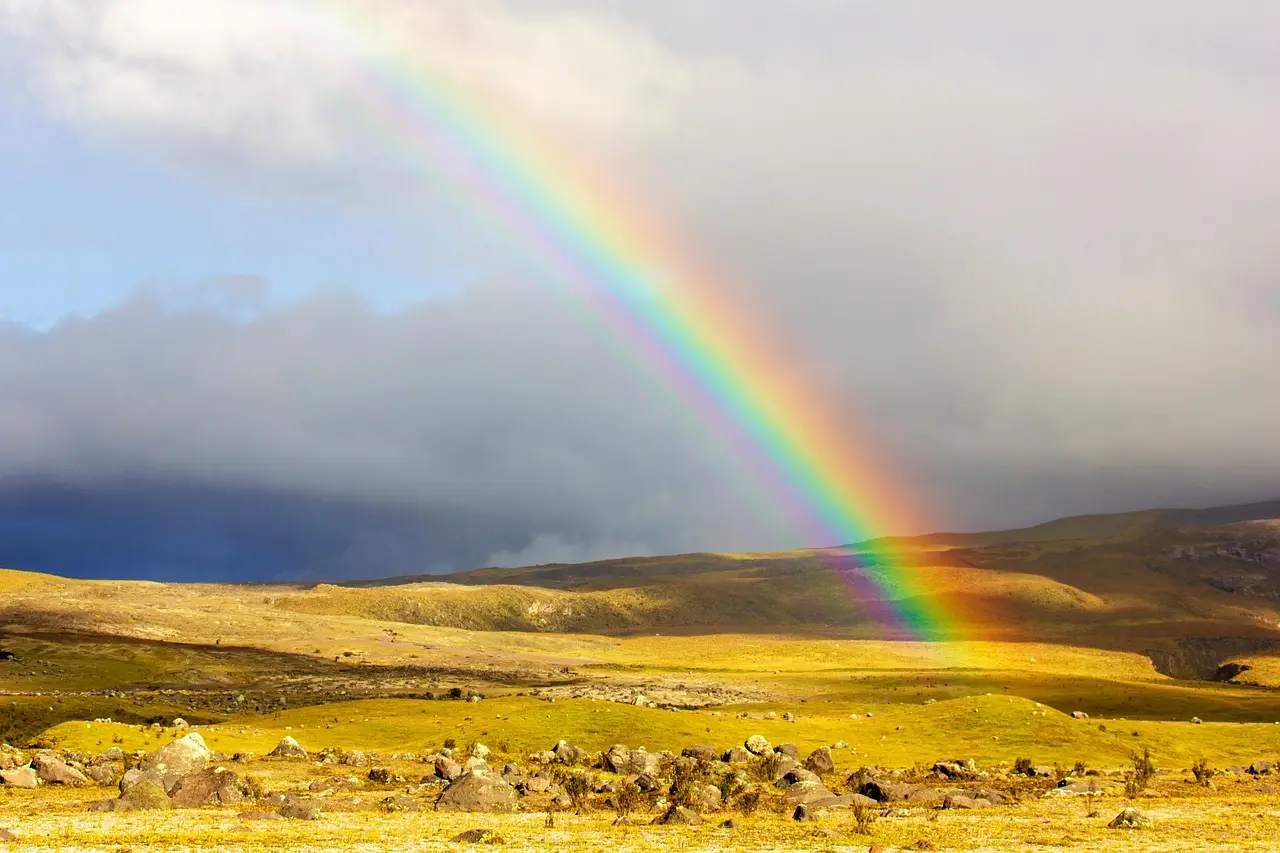 Ecuador resumes the transport of Colombian c... - BNamericas