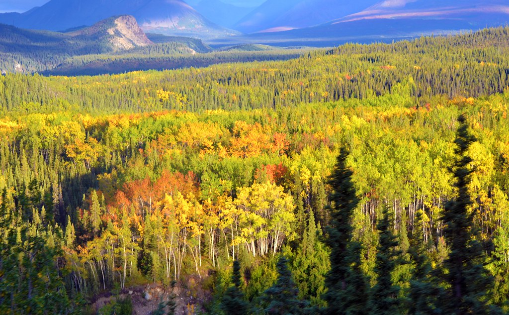 Who Is Going to Pay for Alaska LNG?